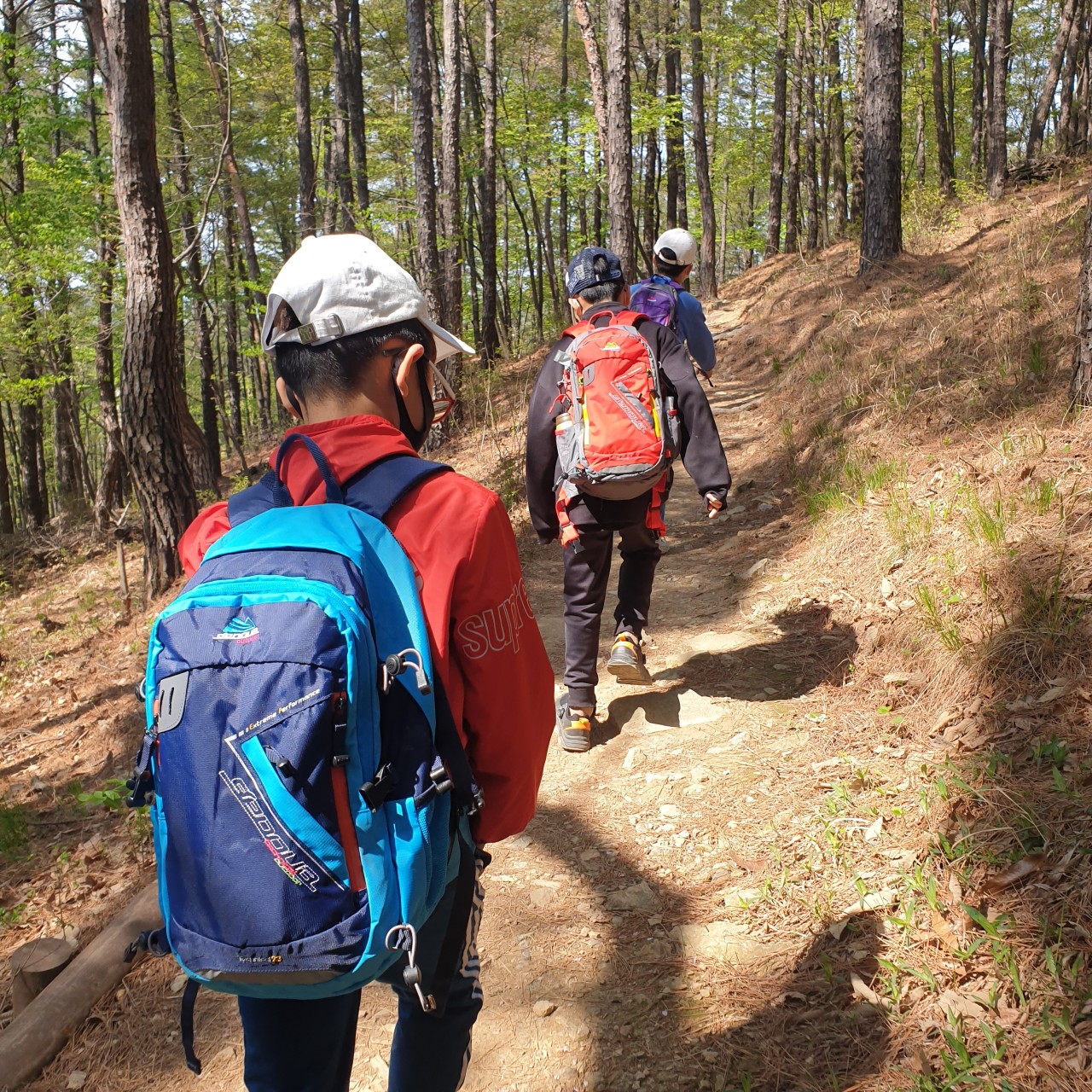 앞산등산나들이 (2).jpg