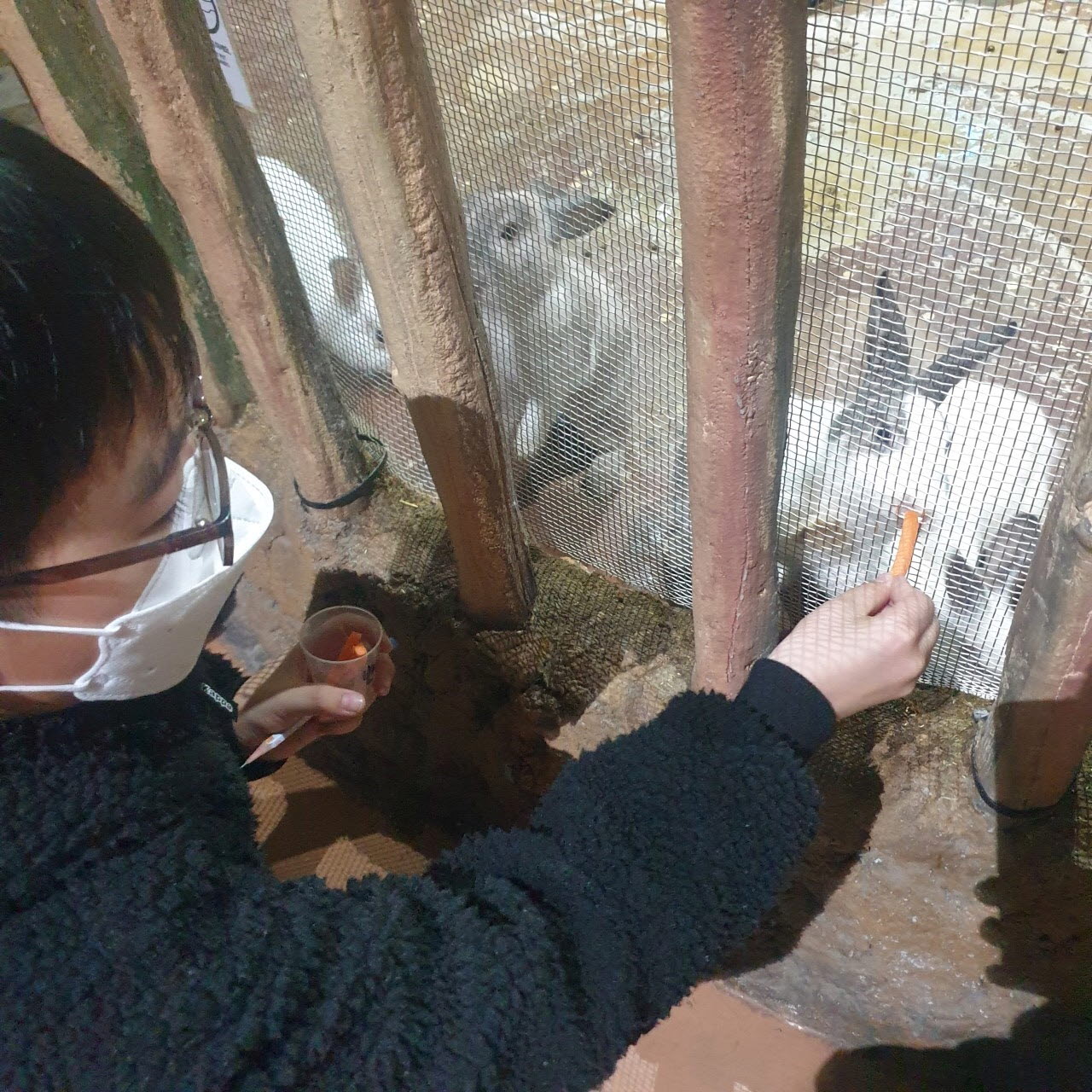 사본 -체험활동21.12.11 (7).jpg